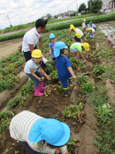 Potato Picking おいもほり_e0351952_12005560.jpg