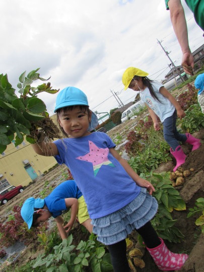 Potato Picking おいもほり_e0351952_12005769.jpg