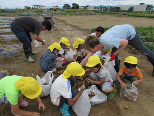 Potato Picking おいもほり_e0351952_12005883.jpg