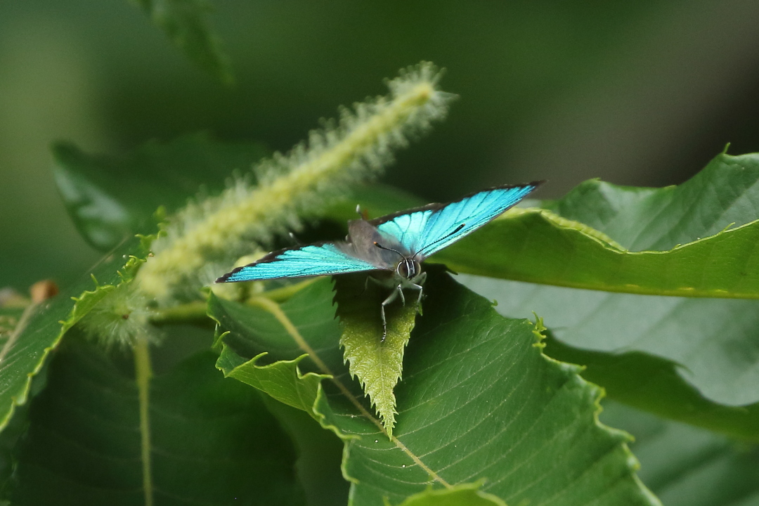 d0176157_0526.jpg