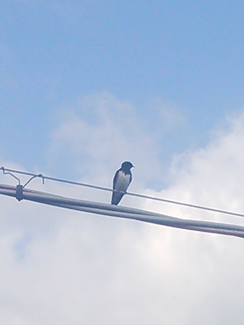 e0081959_9103.jpg