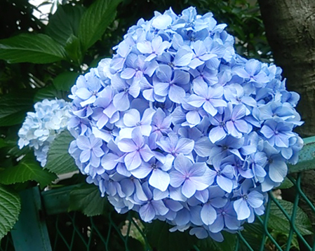 f0000673_22101212.jpg