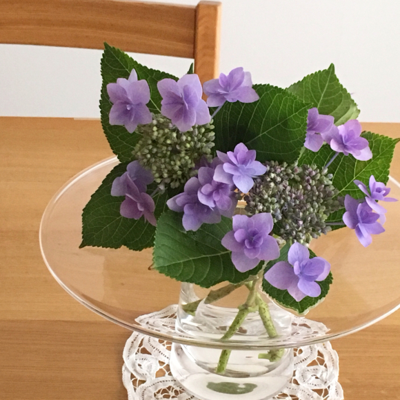 紫陽花 その2_b0065587_18563245.jpg