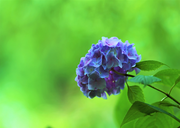 b0133290_16522891.png