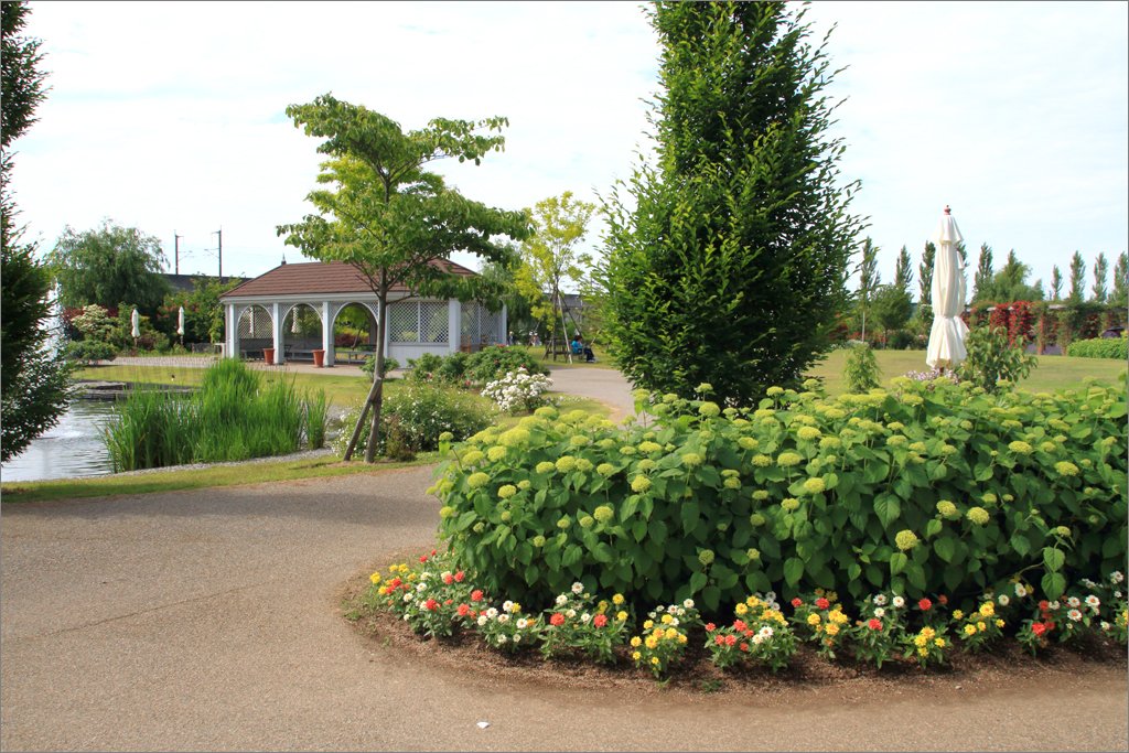 d0353401_2041856.jpg