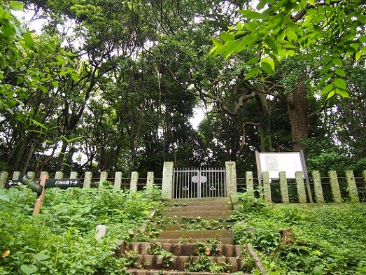 金沢北条氏の称名寺へ　裏山散策(2016.06.14)_e0245404_20155950.jpg