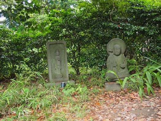 金沢北条氏の称名寺へ 裏山散策(2016.06.14) : フランス語と 金沢北条氏の称名寺へ 裏山散策(2016.06.14) : フランス語と