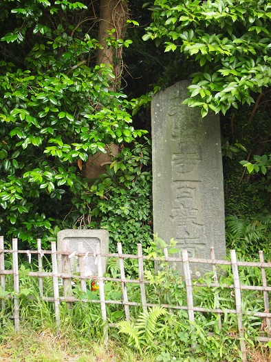 金沢北条氏の称名寺へ　裏山散策(2016.06.14)_e0245404_20193651.jpg