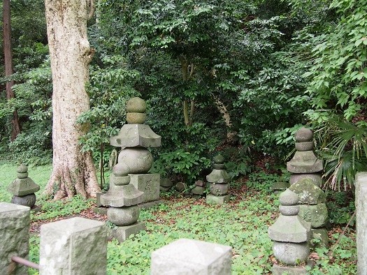 金沢北条氏の称名寺へ　裏山散策(2016.06.14)_e0245404_20254088.jpg