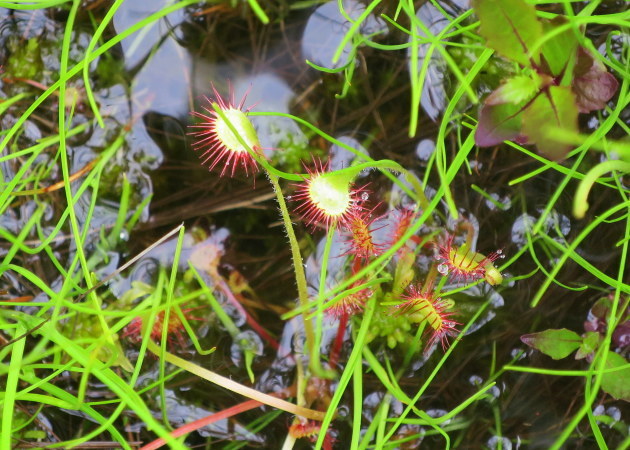 a0214206_21261511.jpg