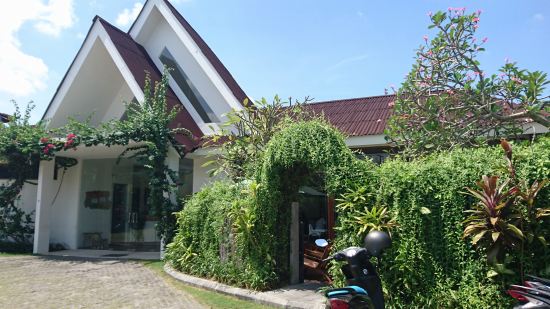 Sprout Bali @ Jl. Raya Semat, Canggu （’16年4月)_f0319208_1452115.jpg