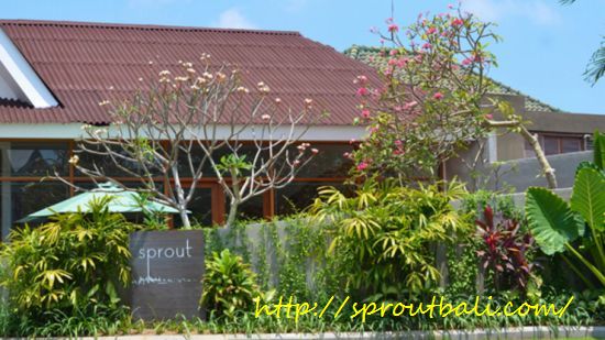 Sprout Bali @ Jl. Raya Semat, Canggu （’16年4月)_f0319208_1462584.jpg