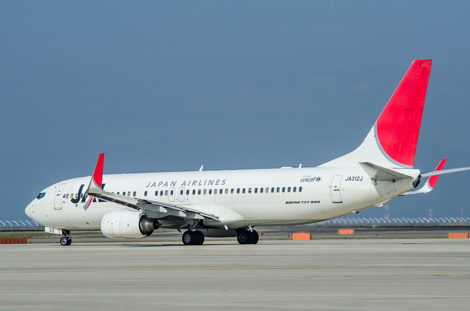 BOEING 737-800 / JA312J : SKY LOUNGE GARDEN -transporter side-