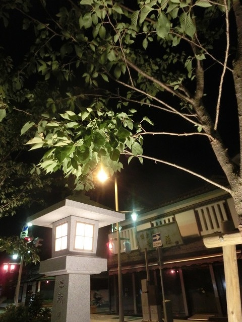 初めての鎌倉 鶴岡八幡宮の参道「若宮大路」とにぎわう「小町通り」_f0141310_711489.jpg
