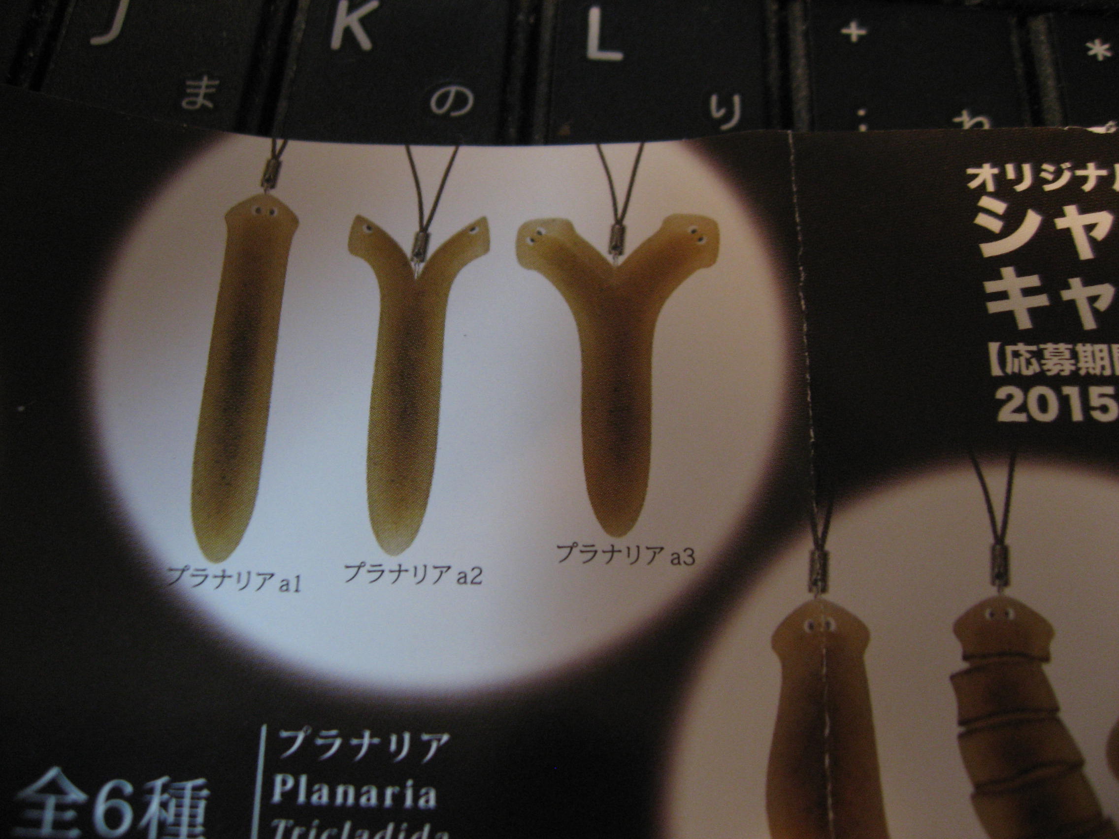c0062511_20545536.jpg