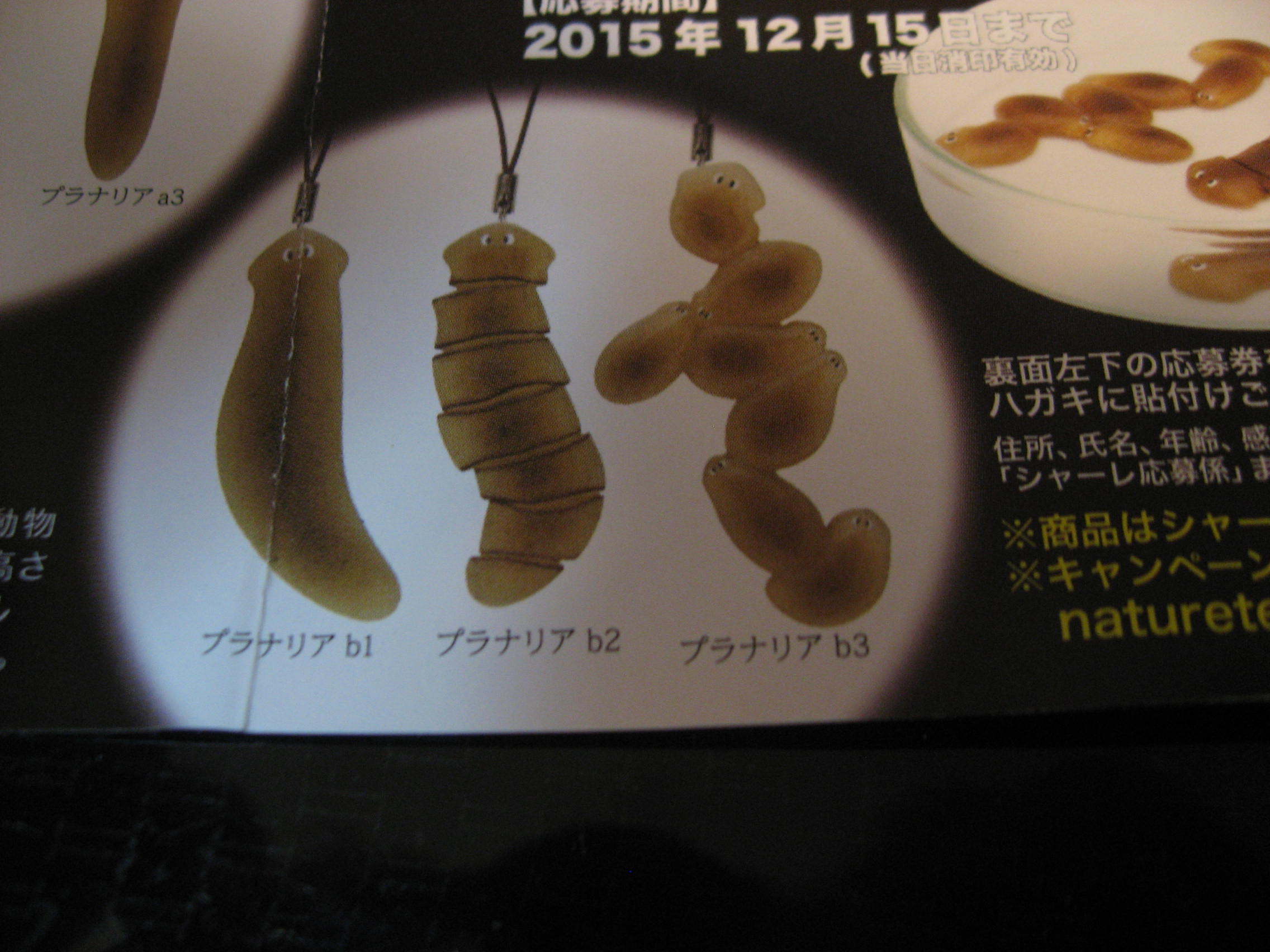 c0062511_2055660.jpg