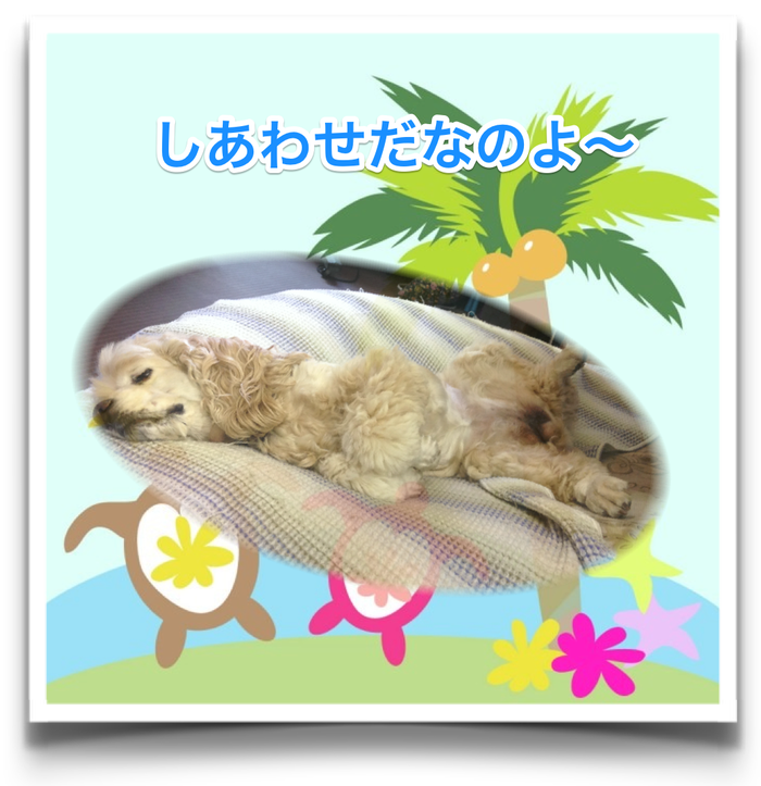 b0067012_14155281.png