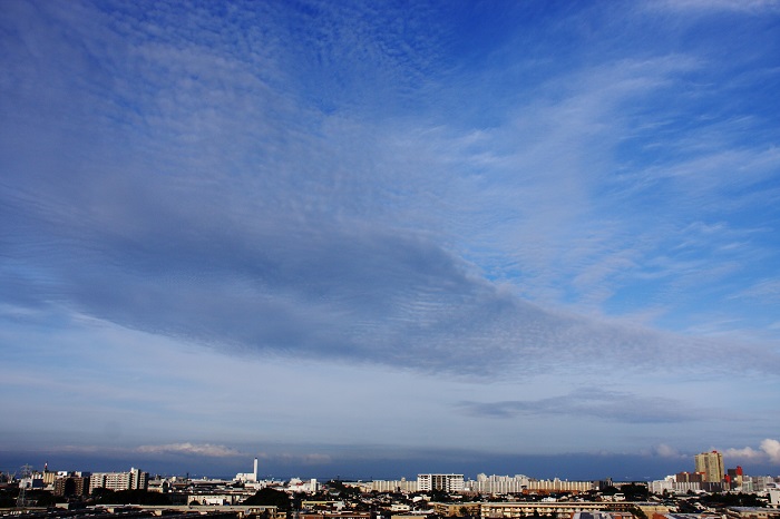 層状雲　　（巻積雲）_b0268615_7262861.jpg