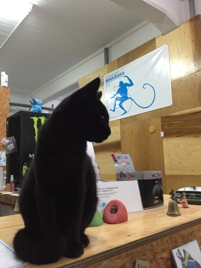 e0268519_14193848.jpeg