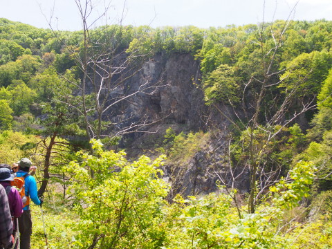 b0147224_19421920.jpg