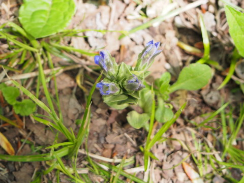 b0147224_19432690.jpg