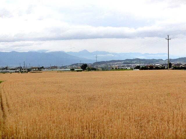 e0234924_10020047.jpg