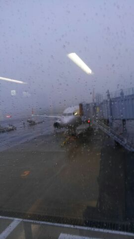 a0324226_19124566.jpg