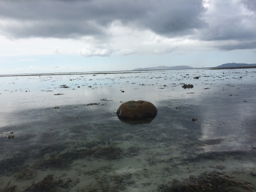 八重山旅行記①　民宿「泉屋」セントレアから竹富島へ_f0335539_13123884.jpg