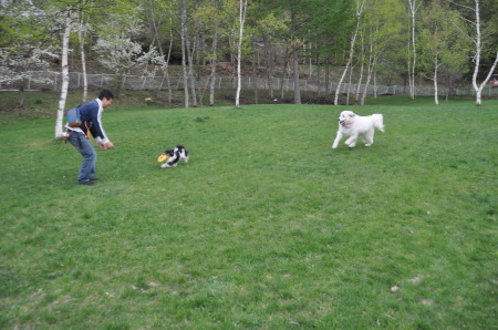 a0201257_15552053.jpg