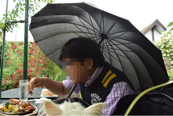 b0242873_12505099.png