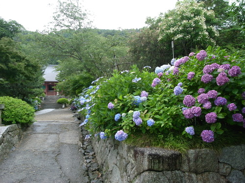 b0140774_94113.jpg