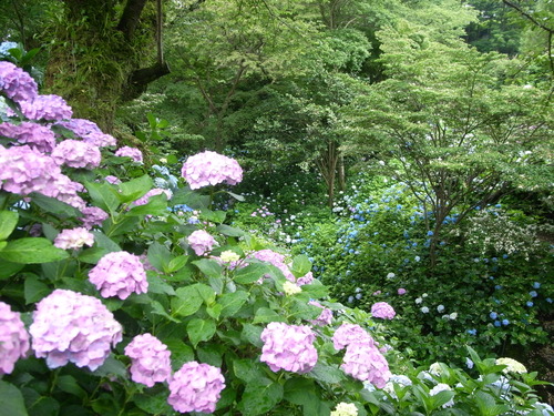 b0140774_96885.jpg
