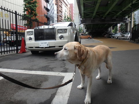 車の引っ越し_f0052277_31378.jpg