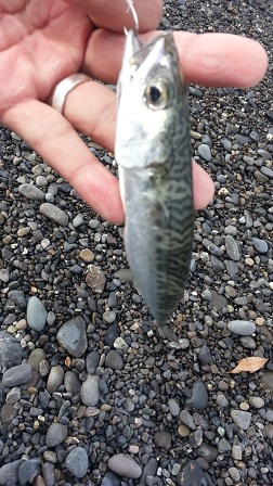 f0228680_10413656.jpg