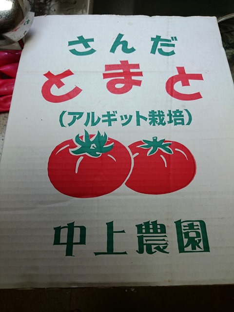 アルギット栽培_e0167593_10068.jpg