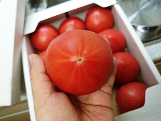 アルギット栽培_e0167593_104695.jpg