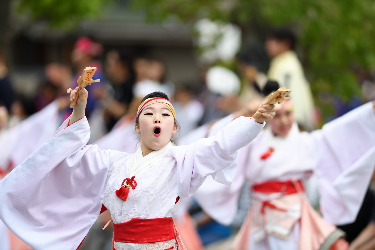 能登よさこい「舞士道」_f0184198_13523383.jpg