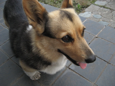 e0123299_04361.jpg