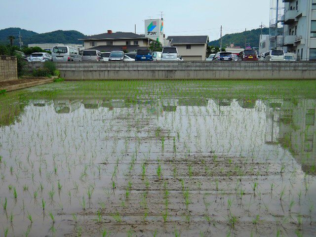 出先～昨日の続きです_c0217202_08383214.jpg