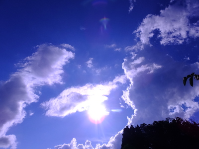 a0160407_22231375.jpg