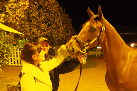 フランス競馬「Natsume(ナツメ）初勝利！」_d0063314_1237537.jpg