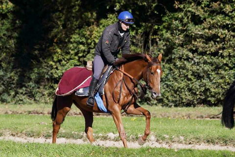 フランス競馬「Natsume(ナツメ）初勝利！」_d0063314_12494230.jpg