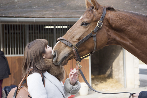 フランス競馬「Natsume(ナツメ）初勝利！」_d0063314_1259484.jpg