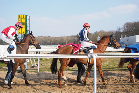 フランス競馬「Natsume(ナツメ）初勝利！」_d0063314_136869.jpg