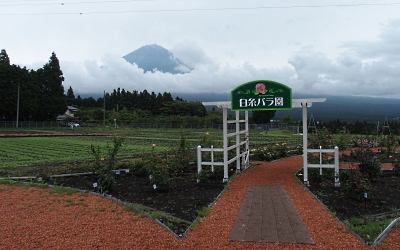 b0055215_16163120.jpg