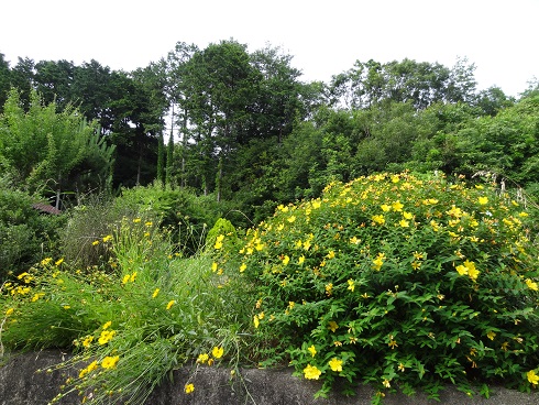 f0000521_63233.jpg