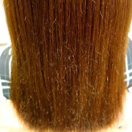 c0150233_1349399.jpg