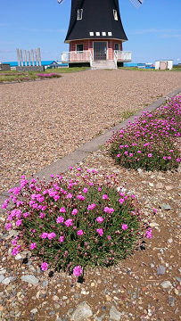 d0032736_1765717.png