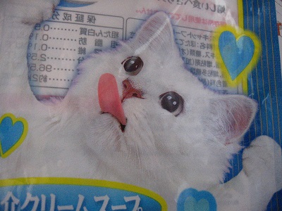 キャットフード_f0182936_0293666.jpg