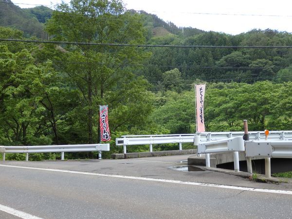 初夏の岩泉、濃い緑のなかの花模様_b0206037_20344204.jpg